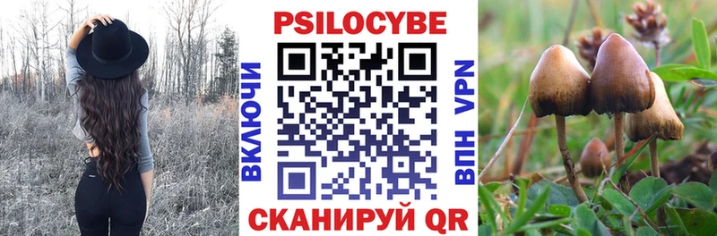 Псилоцибиновые грибы Psilocybe  кракен зеркало  Верхняя Салда 